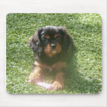 Niedlicher Welpe Mousepad