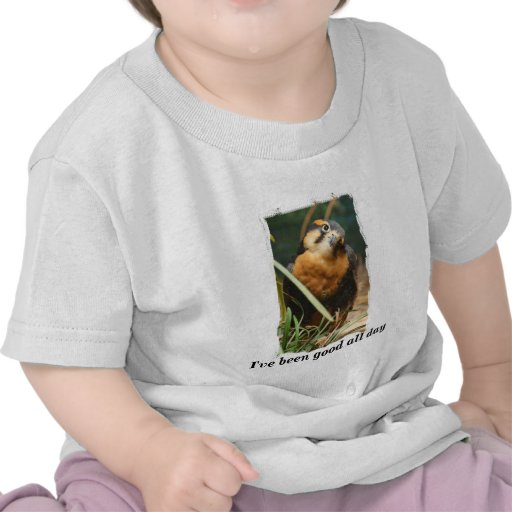 Niedliches Falkefotohemd, bin ich den ganzen Tag g