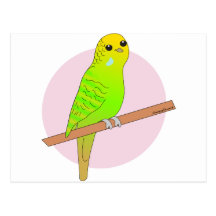 Niedliches grünes Budgie Postkarte