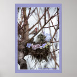 Niedliches Kätzchen- und Vogelnest Poster