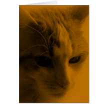 Niedliches Katzen-Gesicht Grußkarten