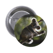 Niedliches Koala-Klettern Anstecknadel