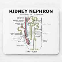 Niere Nephron Mauspads