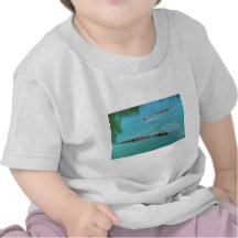 Nil-Krokodile Shirts