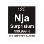 Ninja das Element der Überraschung Postkarten