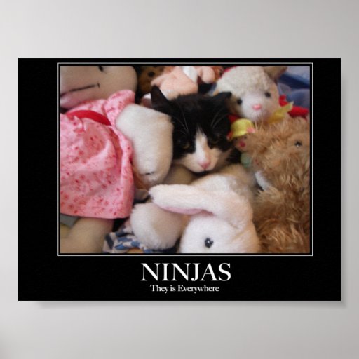 Ninjas - sie sind überall plakatdrucke