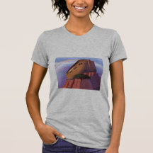 Noahs Arche T-shirts