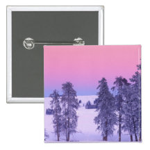 Nordamerika, USA, Montana, Yellowstone Anstecknadel