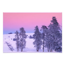Nordamerika, USA, Montana, Yellowstone Fotografie