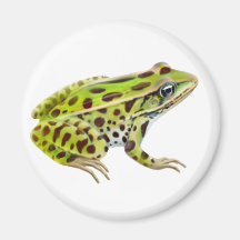 Nordleopard-Frosch-Magnet Kühlschrankmagnet
