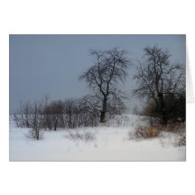 Nordmaine 17 grußkarte
