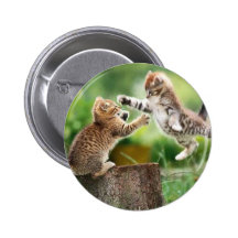 Norwegische Waldkätzchen Button