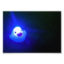 Nr. 1 des Bläuen-LED Duckie Foto Drucke