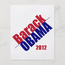 ObamaFlyer 2012