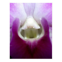 oben geschlossen von der Orchideen-Blume Postkarte