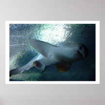 Obenliegend Plakat