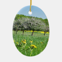 Obstblütenzeit in einem Meer aus Löwenzahn und Rap Weihnachtsbaum Ornamente