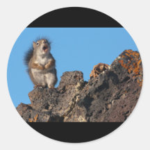 Ode zu meinem Kiefern-Kegel Sticker