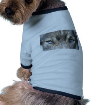 Odins Augen Haustier Tshirt