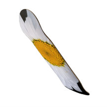 offer custom skateboard