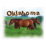 Oklahoma-Pferde 2 Postkarten