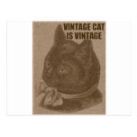 Olde LOLcat Postkarten