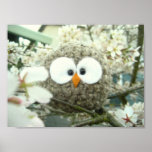 Oliver die Eule Plakatdruck