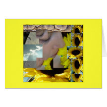 Omega-Sonnenblume Karten