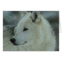 Omega-Wolf Karten