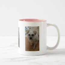 Opossum Teetasse