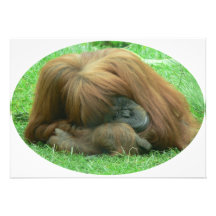 Orang-Utan Einladung