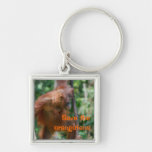 Orang-Utan Foto im Wald Schlüsselbänder