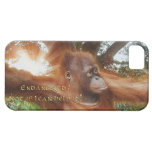 Orang-Utan in Borneo-Dschungel-Sonnenlicht iPhone  iPhone 5 Schutzhülle