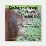 Orang-Utan Lebensraum-Magnet