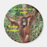 Orang-Utan Regenwaldpin--c$obenmädchen-Spaß Kühlschrankmagnete