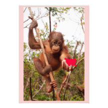 Orang-Utan Valentinsgruß-Karten Individuelle Ankündigungen
