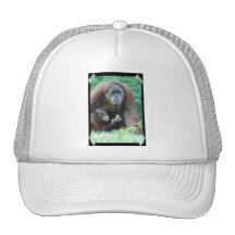 Orang-Utans Baseball-Mütze