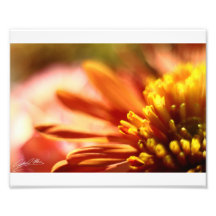 Orange Bokeh Kunstfoto