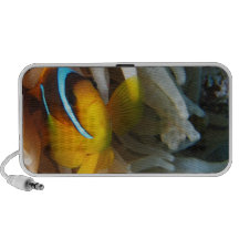 Orange Clown-Fische Reise Speaker