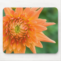 Orange Dahlie Mauspad