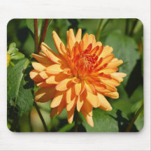Orange Dahlie mit Knospe und Blätter Mousepads