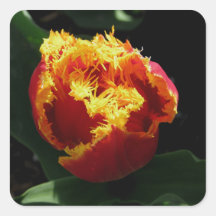 Orange Feuer Sticker