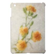 Orange Gartennelke Ipad Minifall
