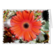 Orange Gerber Gänseblümchen Grußkarten