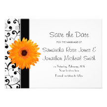 Orange Gerbera-Gänseblümchen-Schwarz-Rolle Save th Individuelle Ankündigungskarte