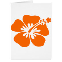 Orange Hibiskus-Blume Karten