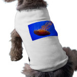 Orange Krausen Hundbekleidung