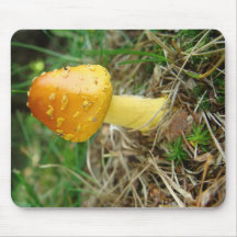 Orange Mushroon Foto Mousepad