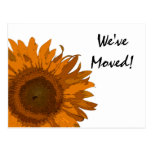 Orange Pop-Kunst-Blumen-Adressenänderung Postkarte