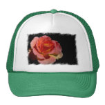 Orange Rose 2 Truckerkappe